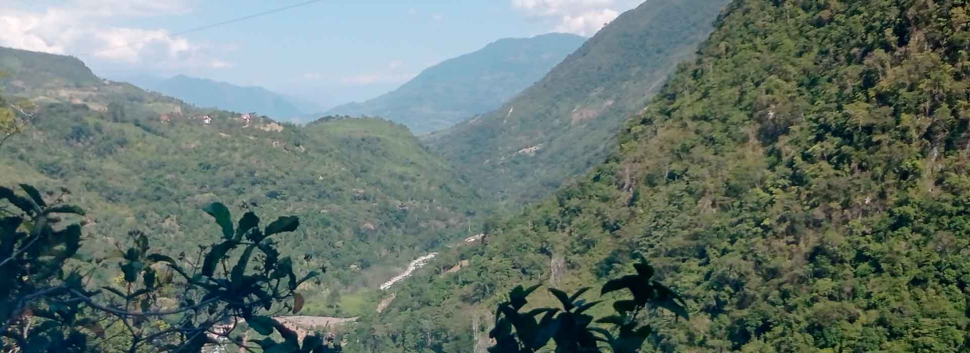 Clasificados Selva Central